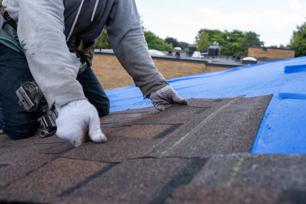 Best Roof Gutter Cleaning  in Wade, MS