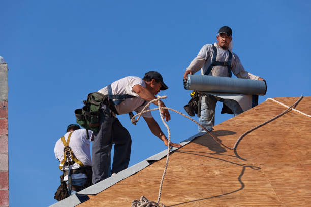 Best Roof Gutter Cleaning  in Wade, MS